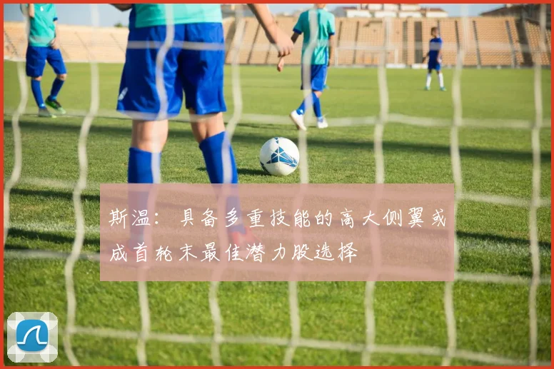 斯温：具备多重技能的高大侧翼或成首轮末最佳潜力股选择