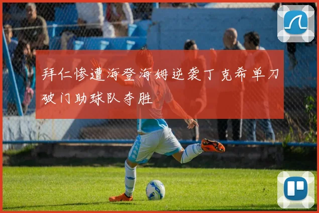 拜仁惨遭海登海姆逆袭丁克希单刀破门助球队夺胜