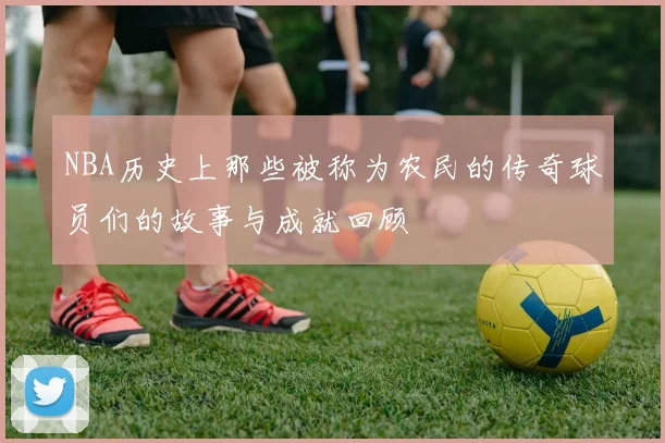NBA历史上那些被称为农民的传奇球员们的故事与成就回顾